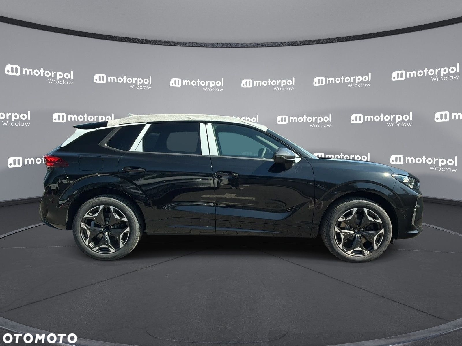 Cupra Terramar - 11