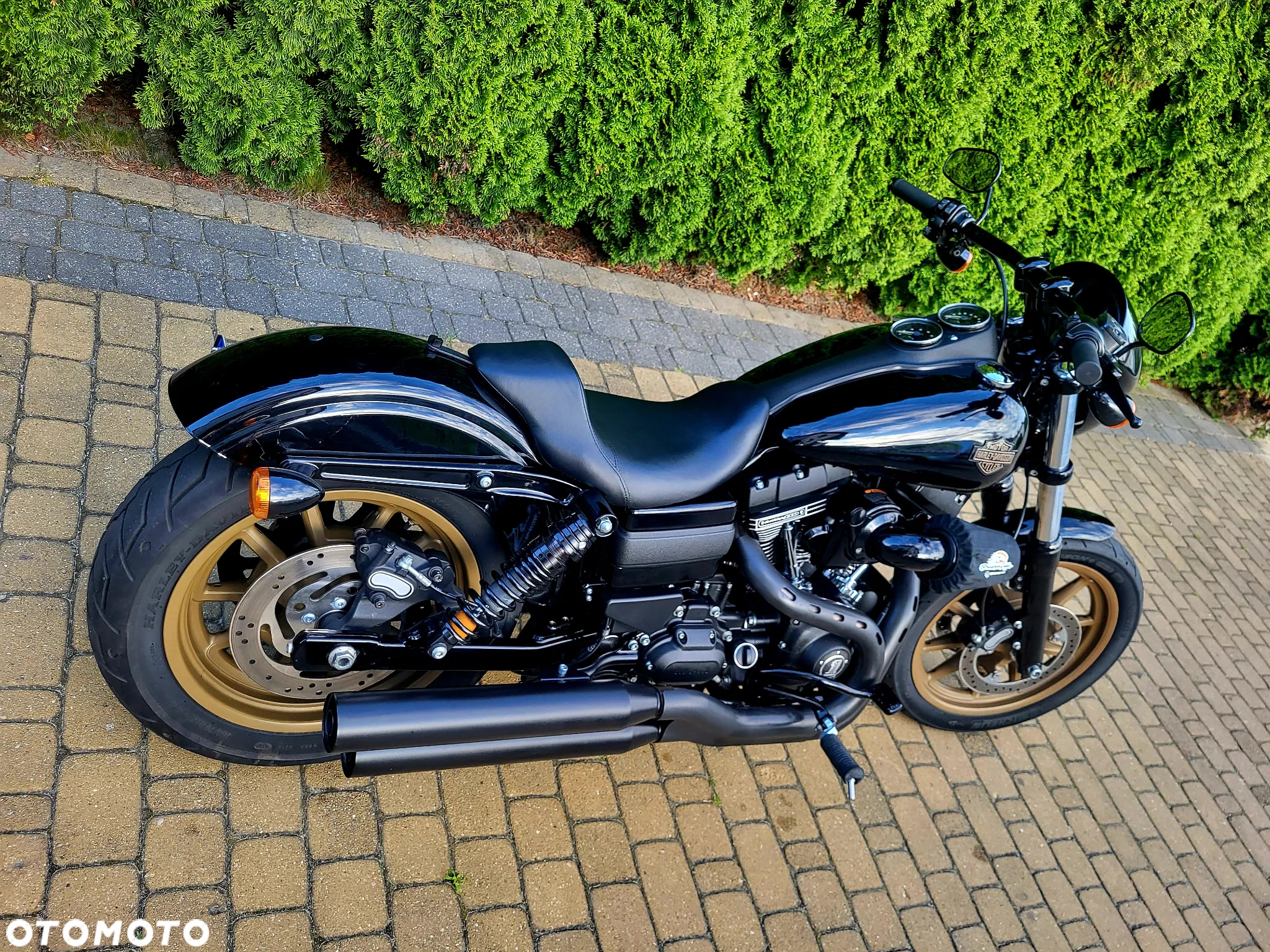 Harley-Davidson Dyna Low Rider - 10