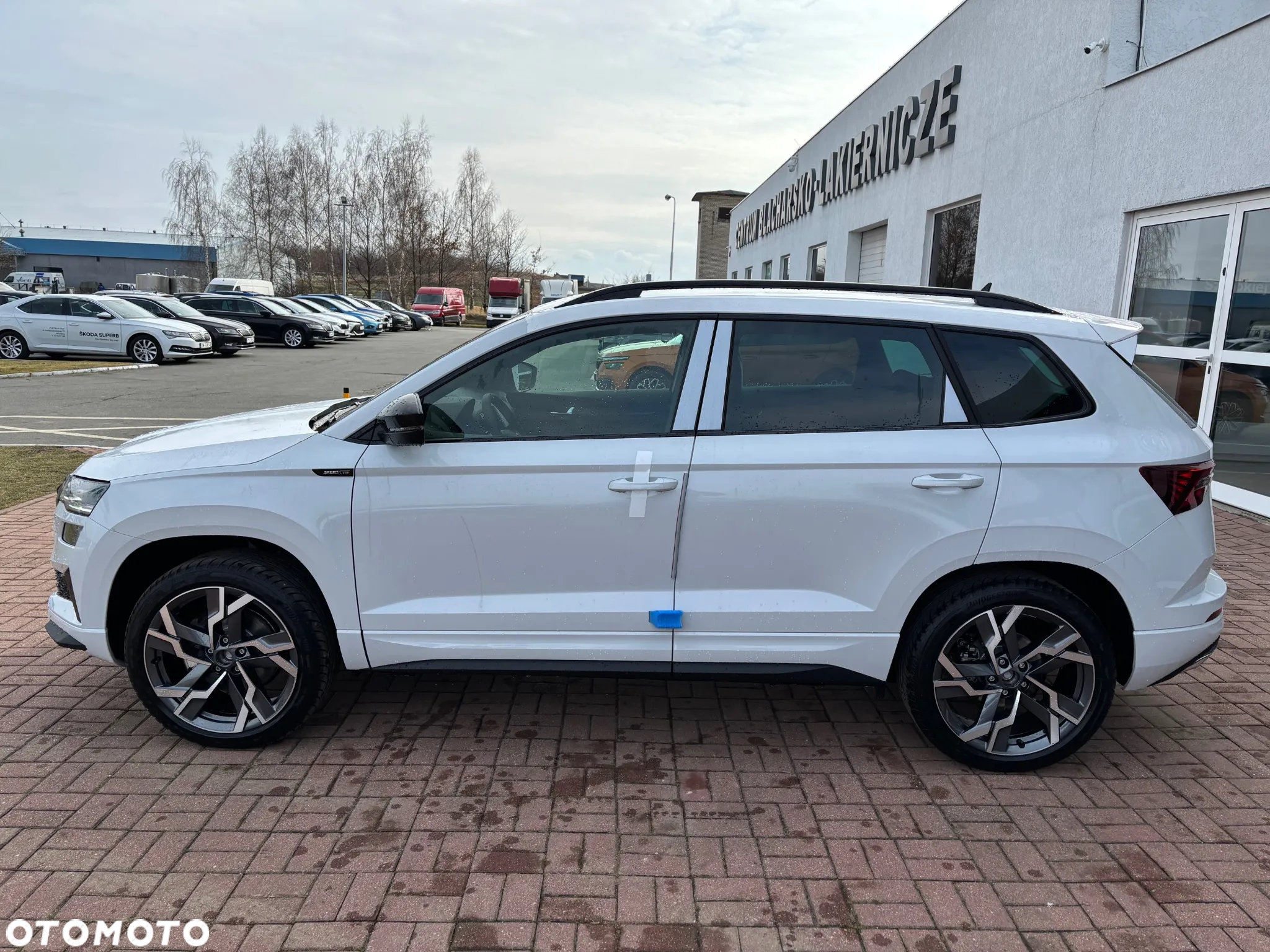 Skoda Karoq 2.0 TSI 4x4 Sportline DSG - 2