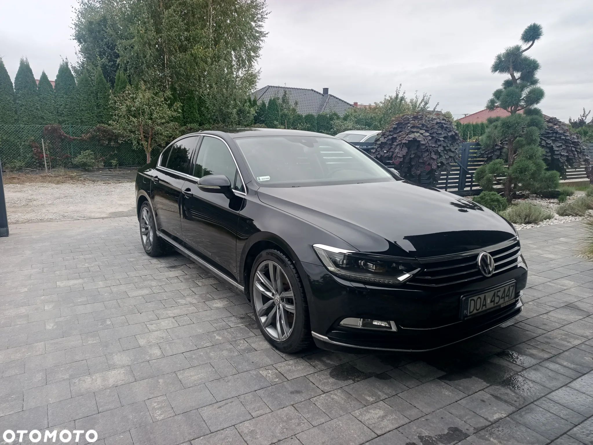 Volkswagen Passat - 1