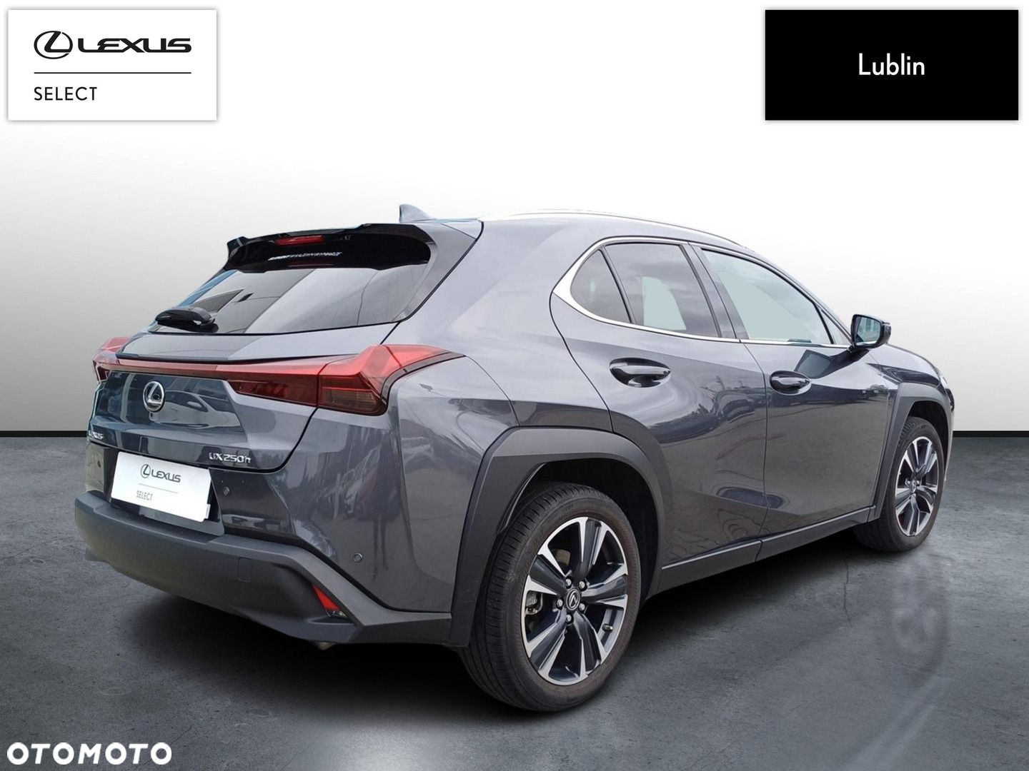 Lexus UX - 5
