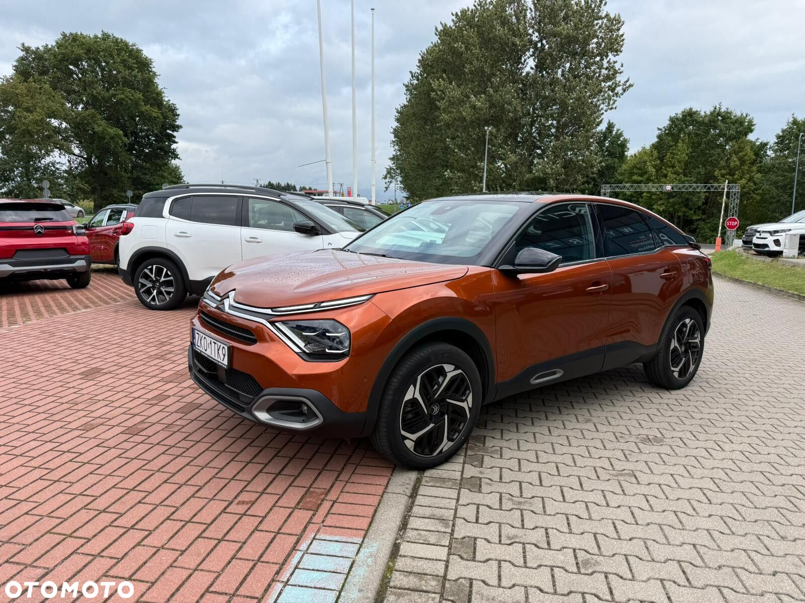 Citroën C4 1.2 PureTech Shine S&S EAT8 - 7