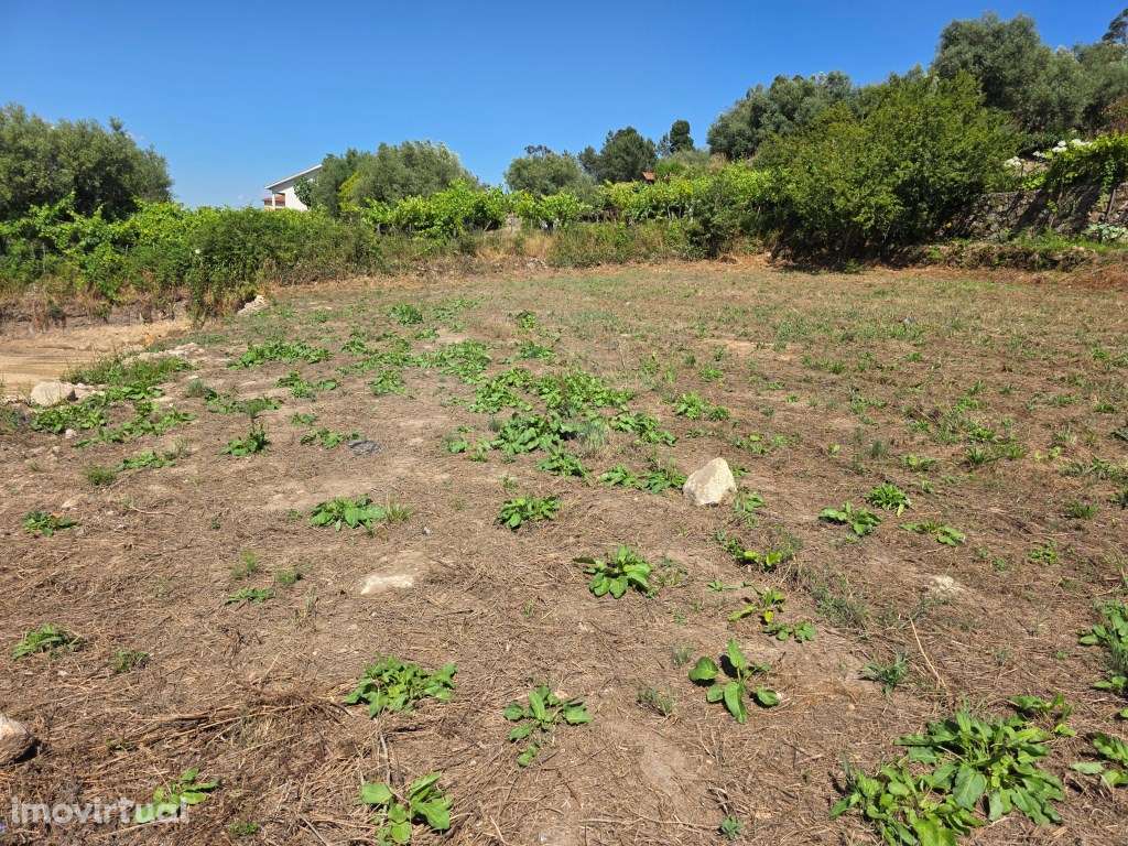 Lote para construção na Correlhã - Grande imagem: 5/8