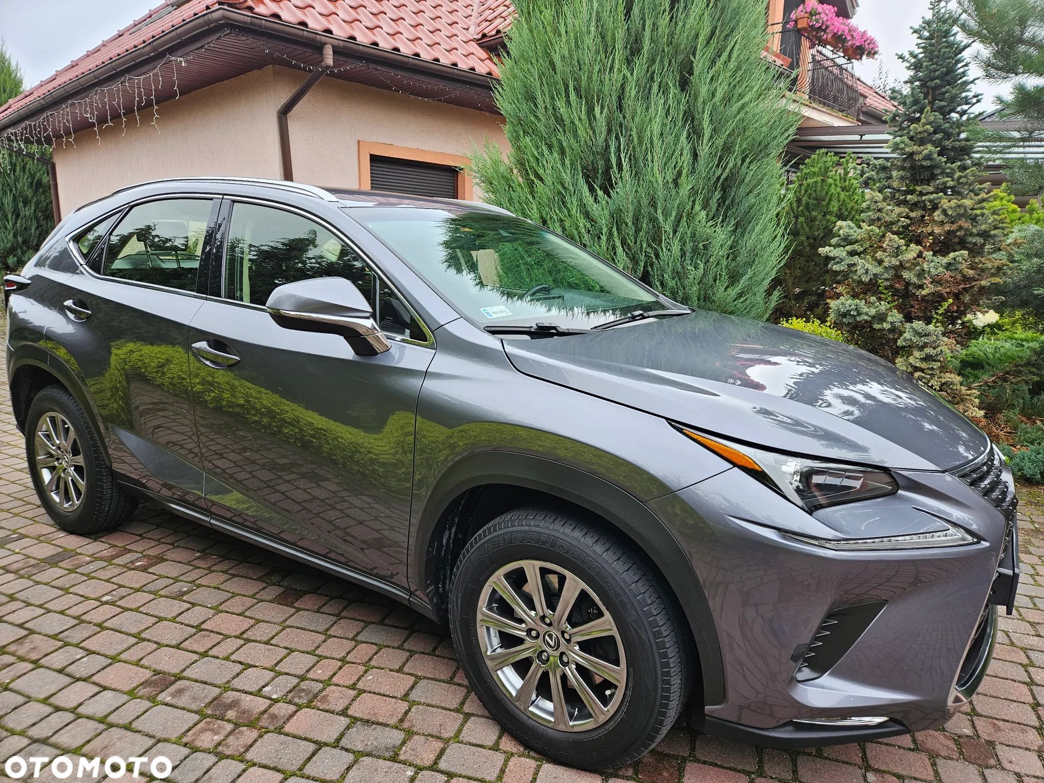 Lexus NX 300 Comfort AWD - 1