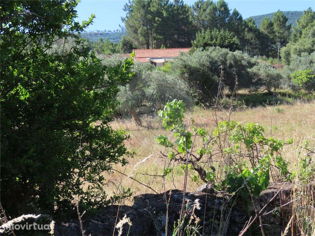 Quinta T2 para venda - Grande imagem: 2/50