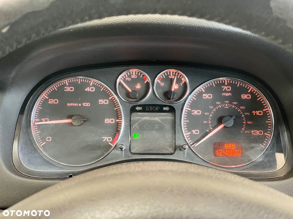 Peugeot 307 1.6 D-sign - 21