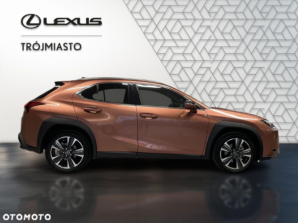 Lexus UX 300h Business - 5