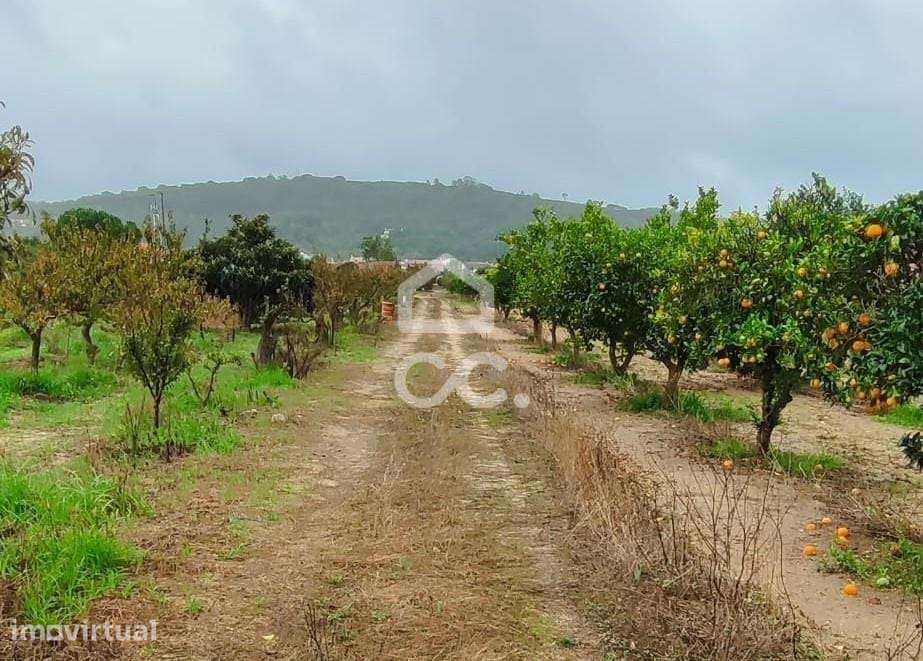 Terreno para construção com 7.415 m² em Cabanas, Quinta do Anjo, Palme - Grande imagem: 2/22
