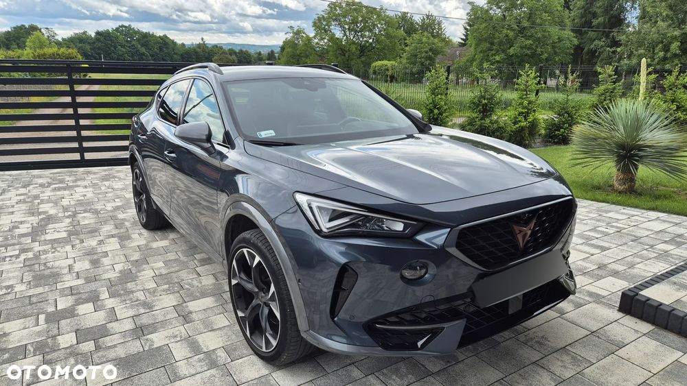 Cupra Formentor 2.0 TSI 4Drive DSG - 14