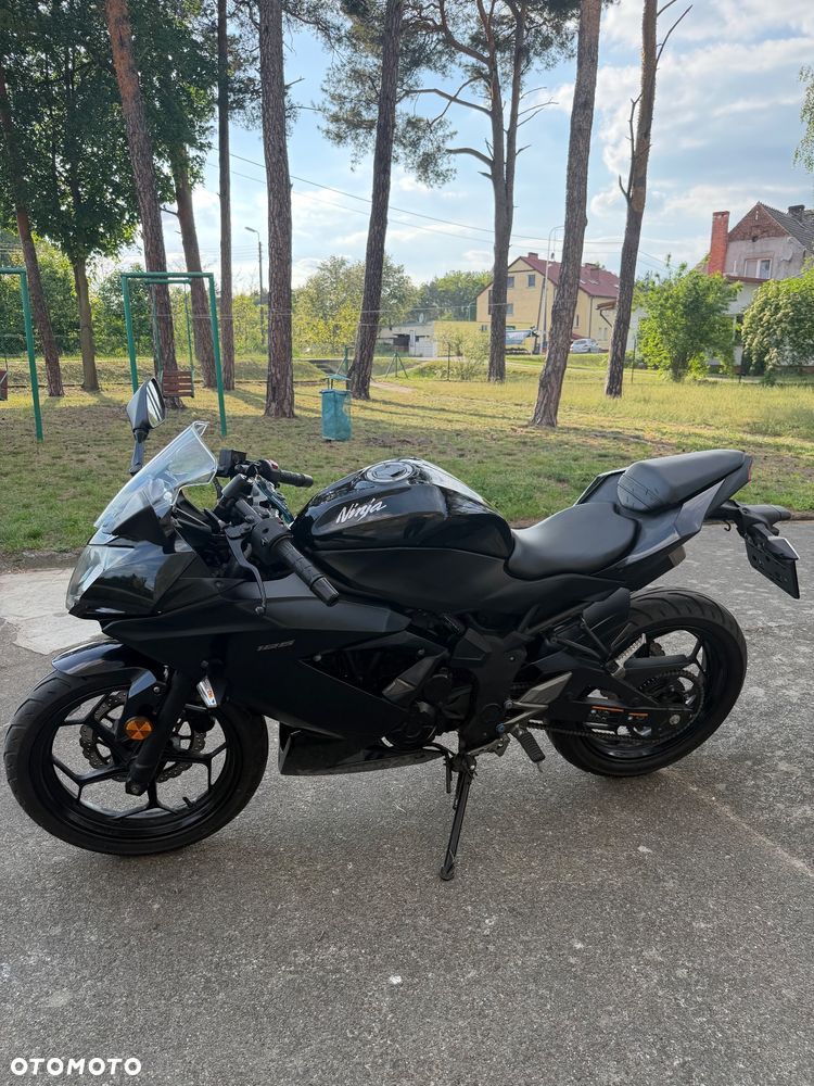 Kawasaki Ninja - 3