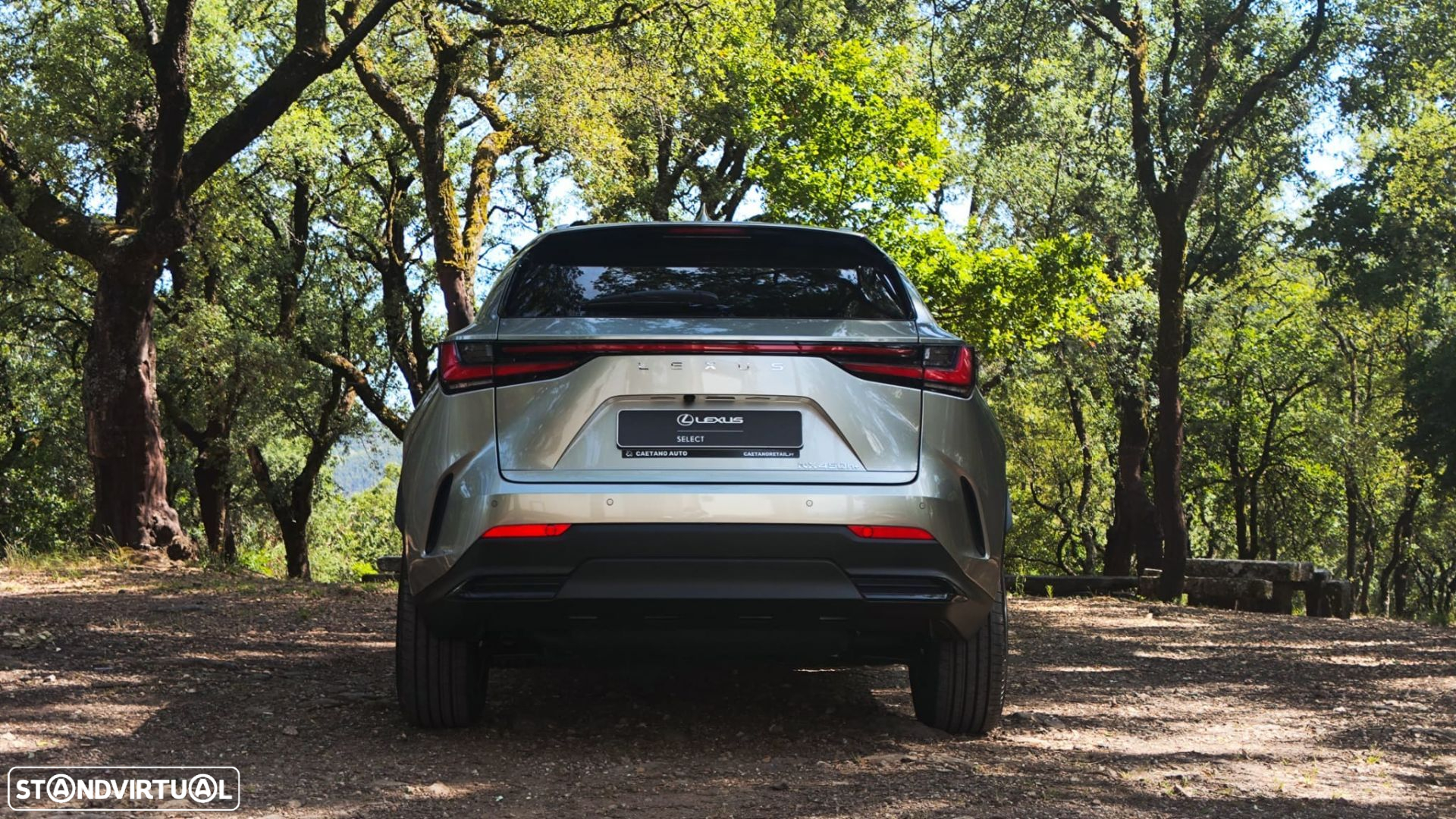 Lexus NX 450h+ Executive - 6