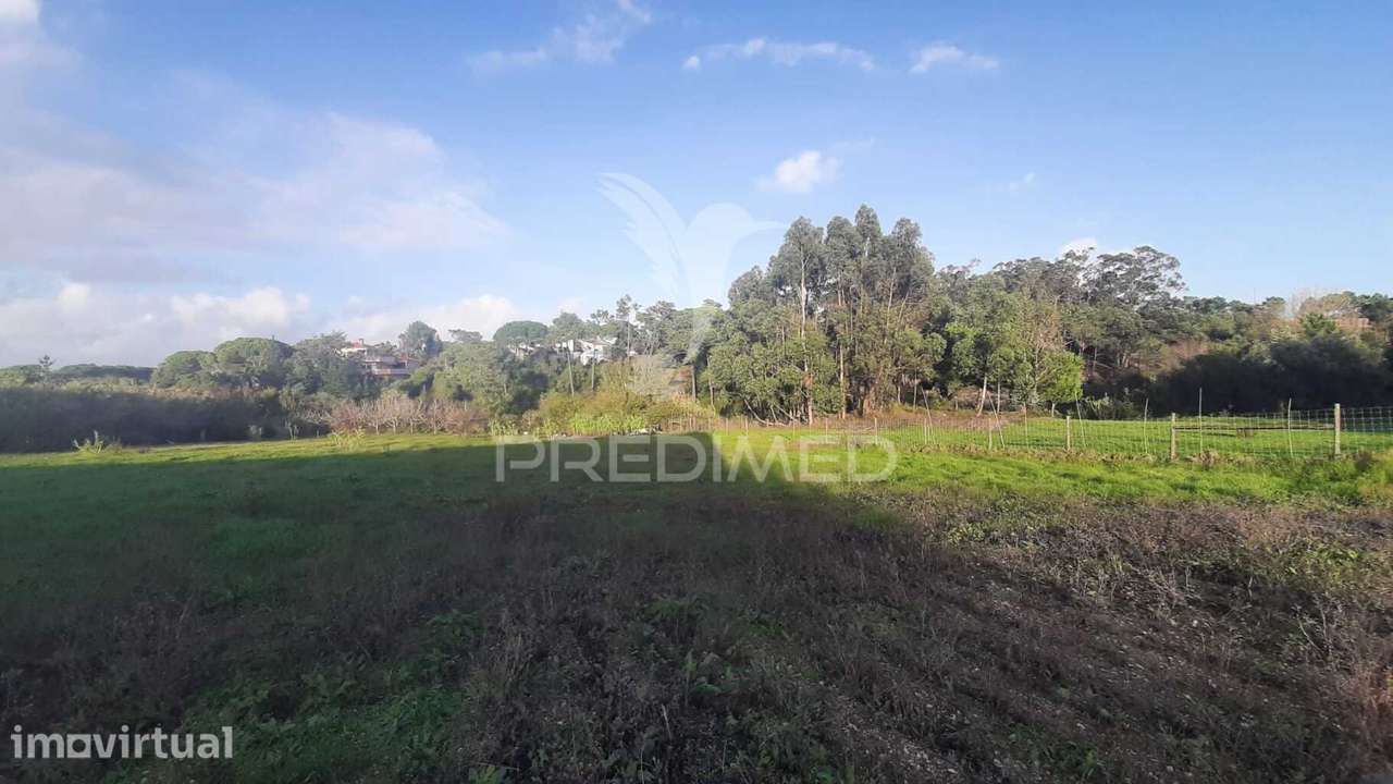 Terreno Urbano com 3545 m² na zona de Sesimbra / Zambujal, incluind... - Grande imagem: 4/14