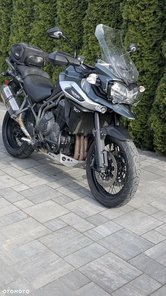 Triumph Tiger - 8
