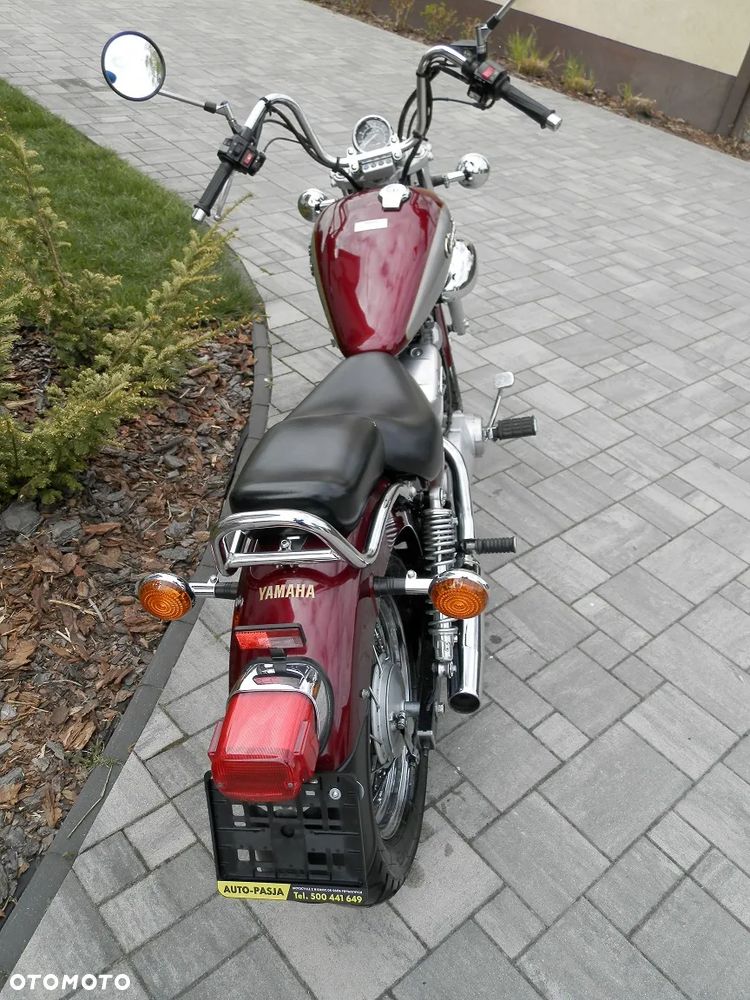 Yamaha Virago - 7