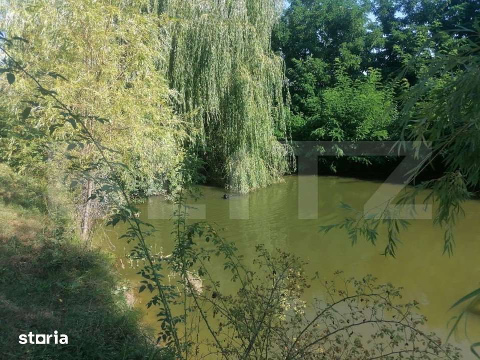Casa cu arhitectura deosebita, iaz, panouri solare, 370mp, zona Adanca - Imagine principală: 3/8