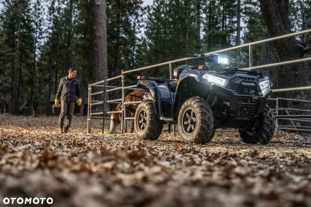 Kawasaki Brute Force - 9