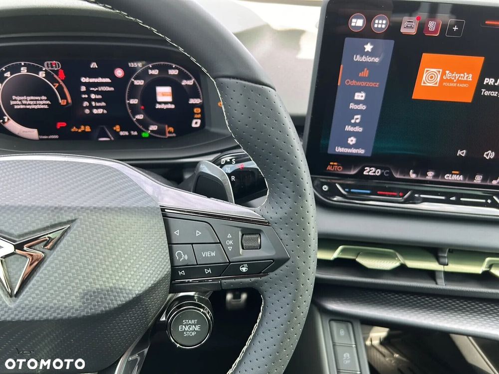 Cupra Terramar - 17