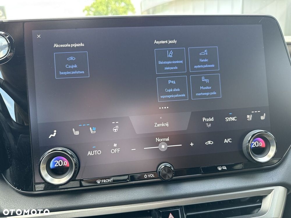 Lexus RX - 10