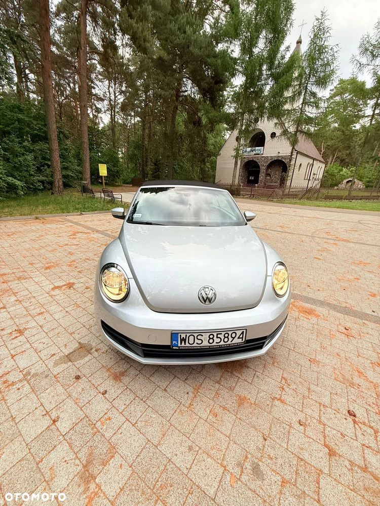 Volkswagen Beetle - 5