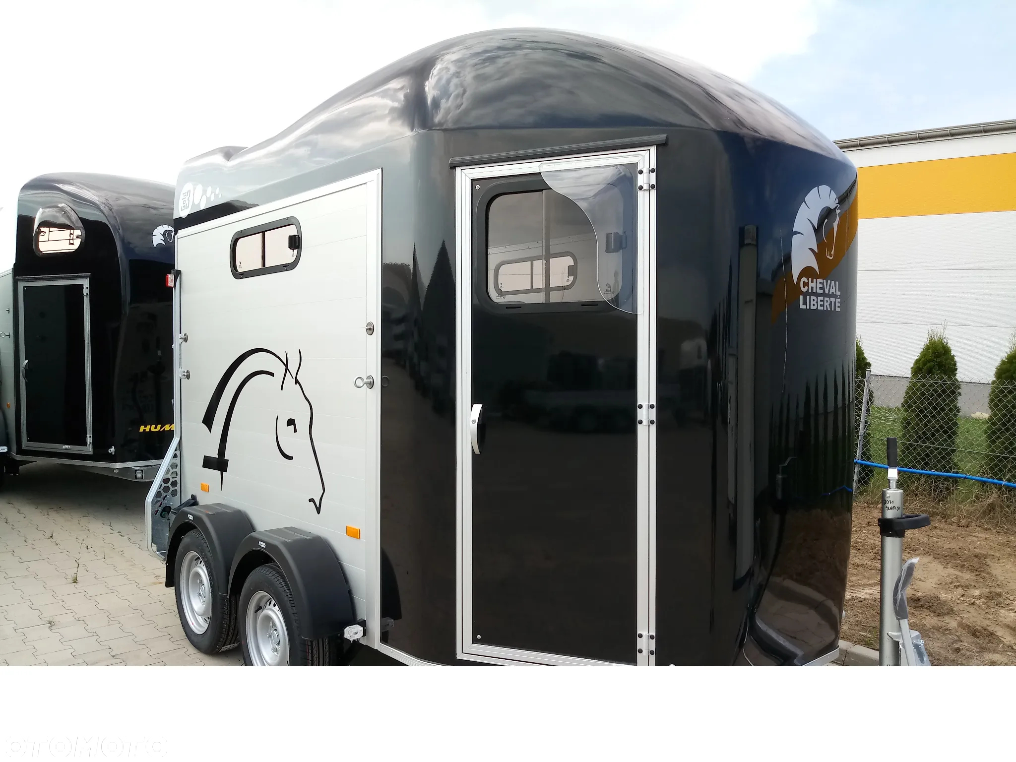 Cheval Liberte Gold III - 13