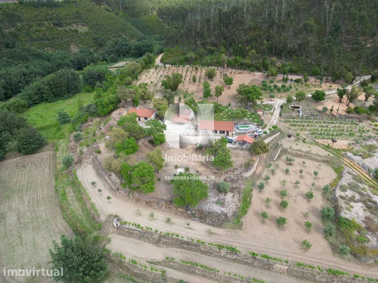 Quinta em Vila nova de poiares - Grande imagem: 3/27