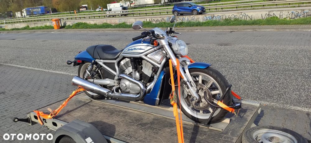 Harley-Davidson V-Rod Street Rod - 14
