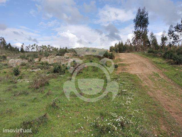 Terreno Rústico para venda - Grande imagem: 4/10