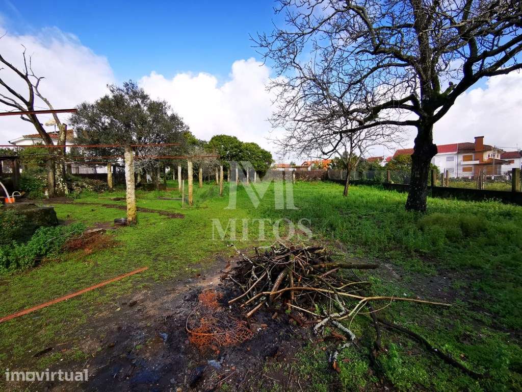 Terreno para venda em Santa Marta - Grande imagem: 5/6
