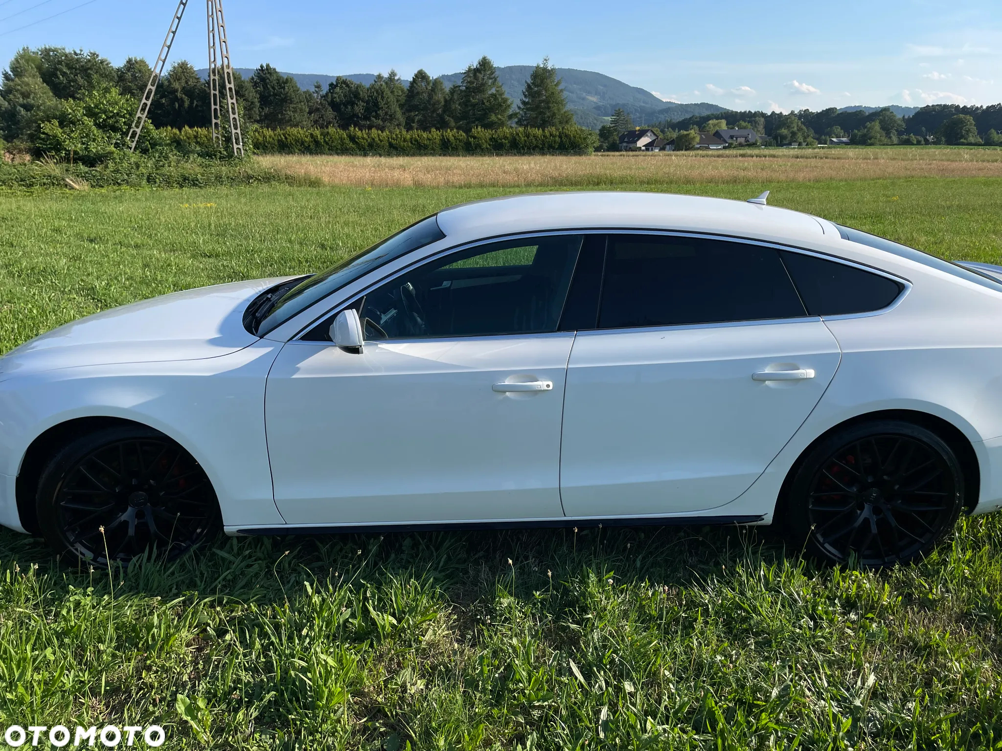 Audi A5 2.0 TDI clean diesel Multitronic - 19
