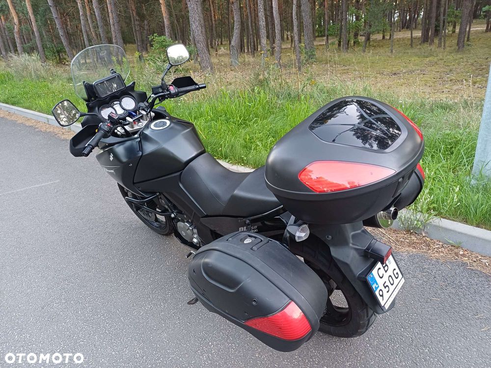 Suzuki DL - 3