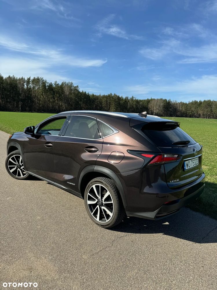 Lexus NX - 4