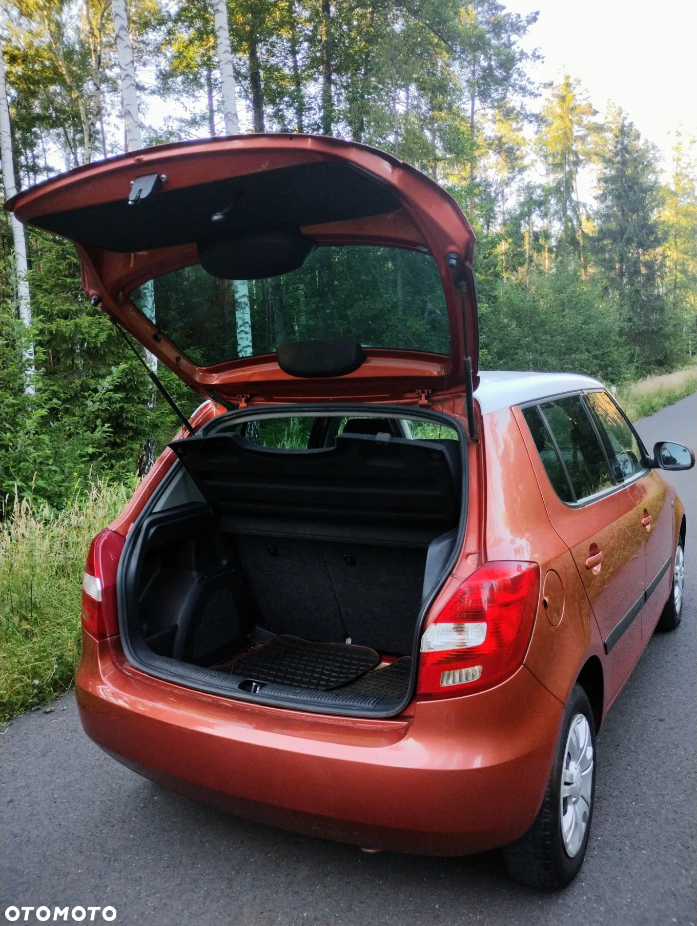Skoda Fabia - 22
