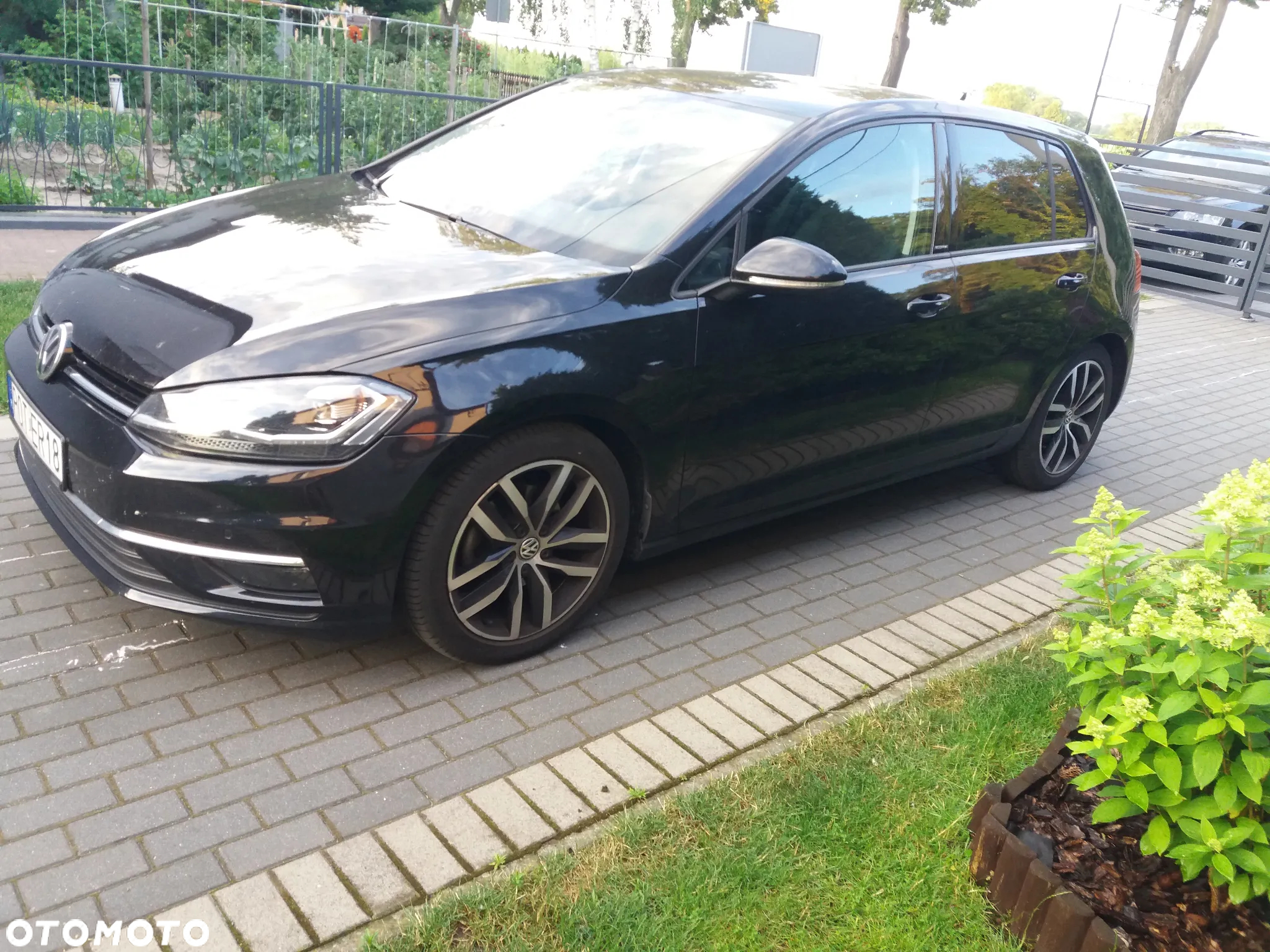 Volkswagen Golf VII 1.5 TSI BMT Evo IQ Drive DSG - 7