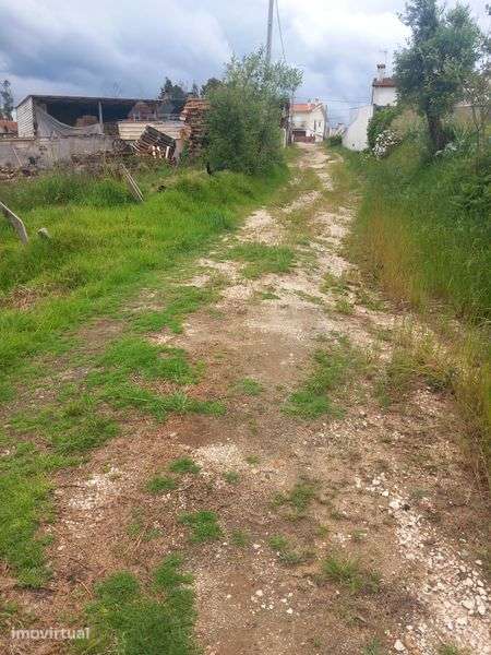 Terreno em Angeja - Grande imagem: 4/6