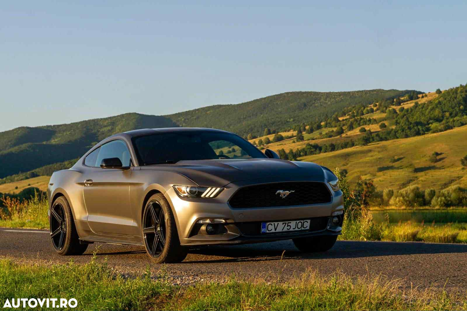 Ford Mustang - 5