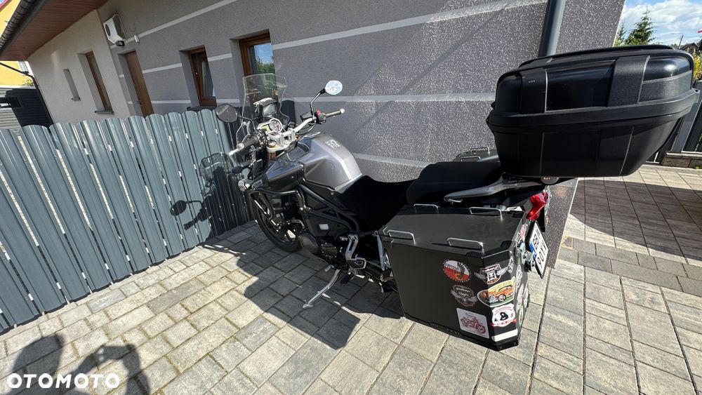 Triumph Tiger - 9