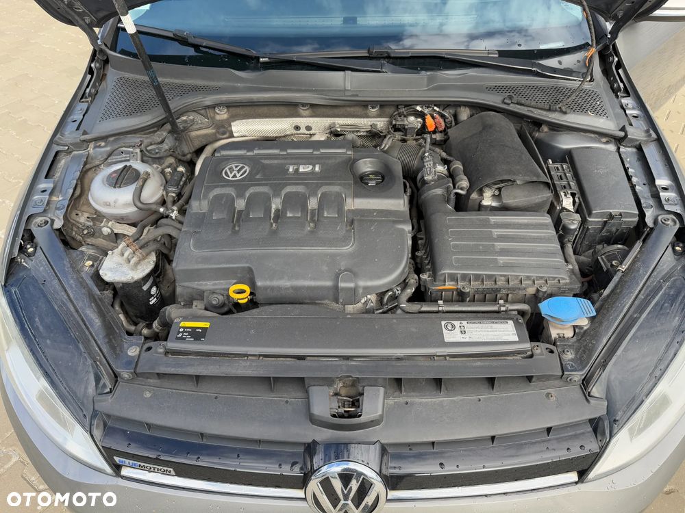 Volkswagen Golf - 20