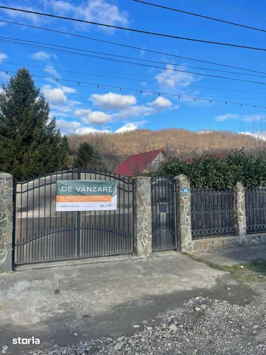 Oportunitate! Casa P+1 deosebita, 223mp, teren 2544mp, Cicarlau - Imagine principală: 3/16