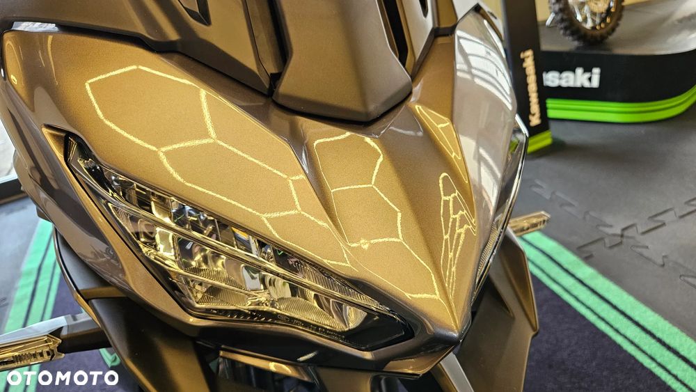 Kawasaki Versys 650 - 3
