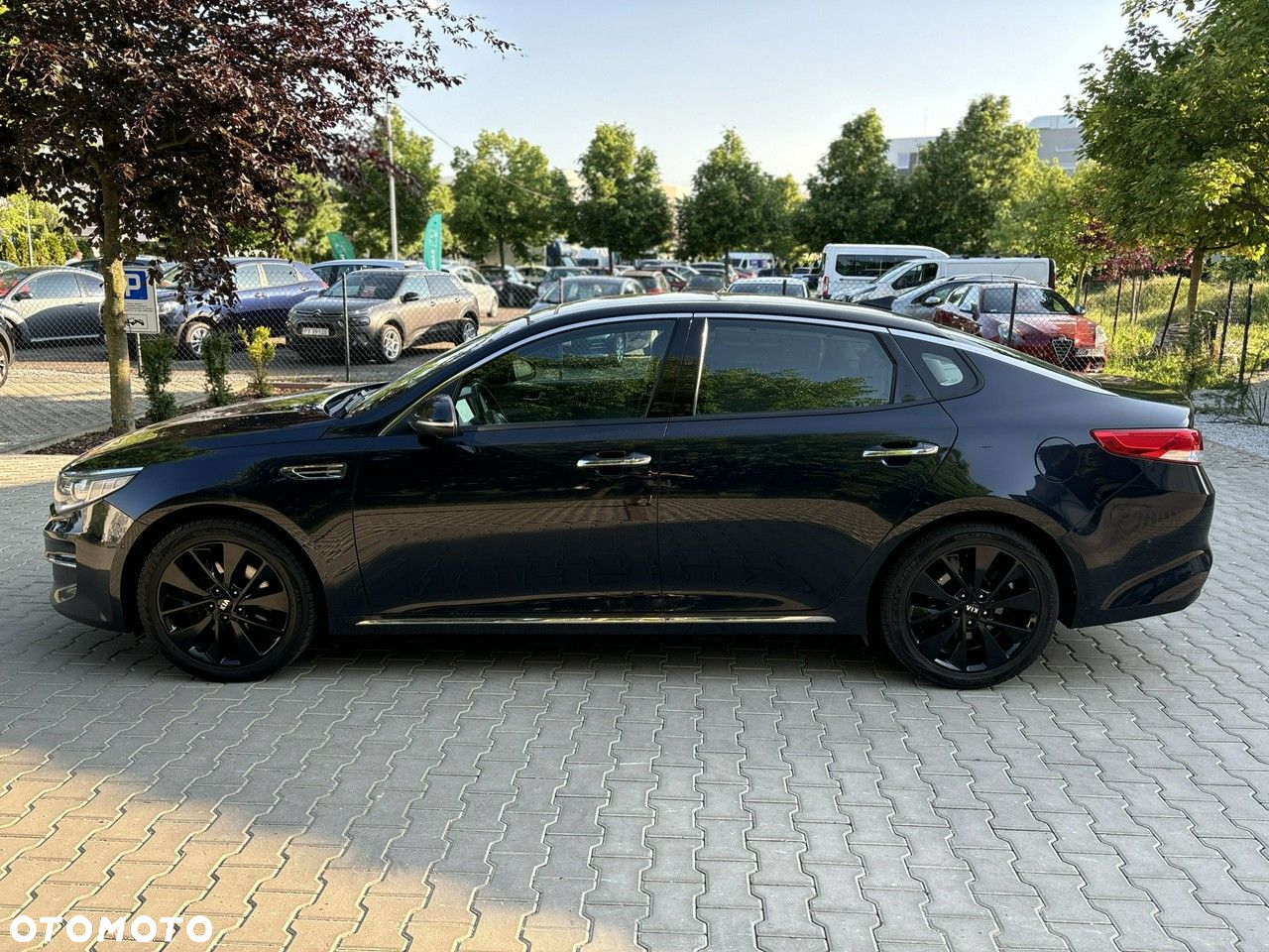 Kia Optima - 7