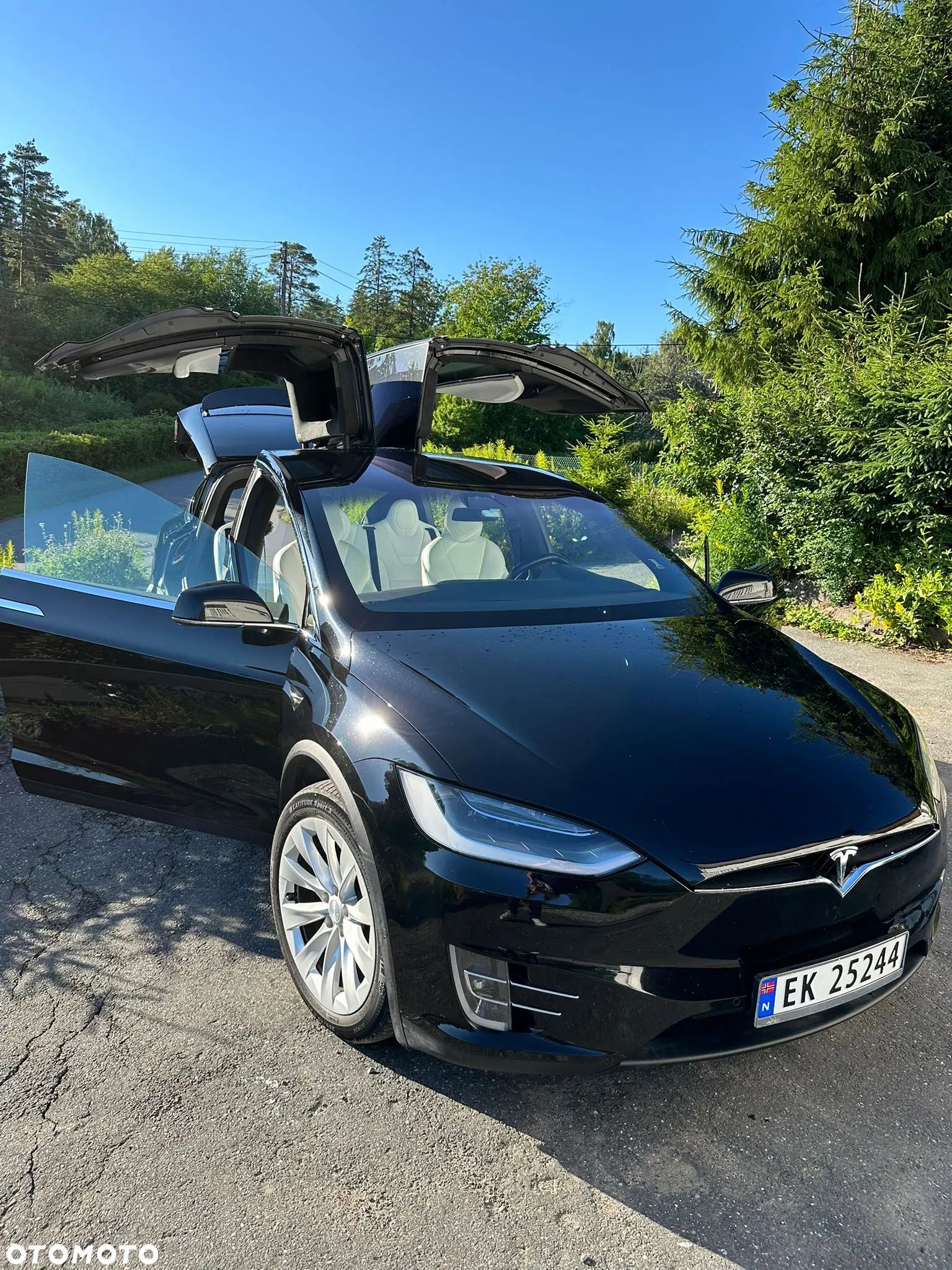 Tesla Model X Long Range Plus - 1