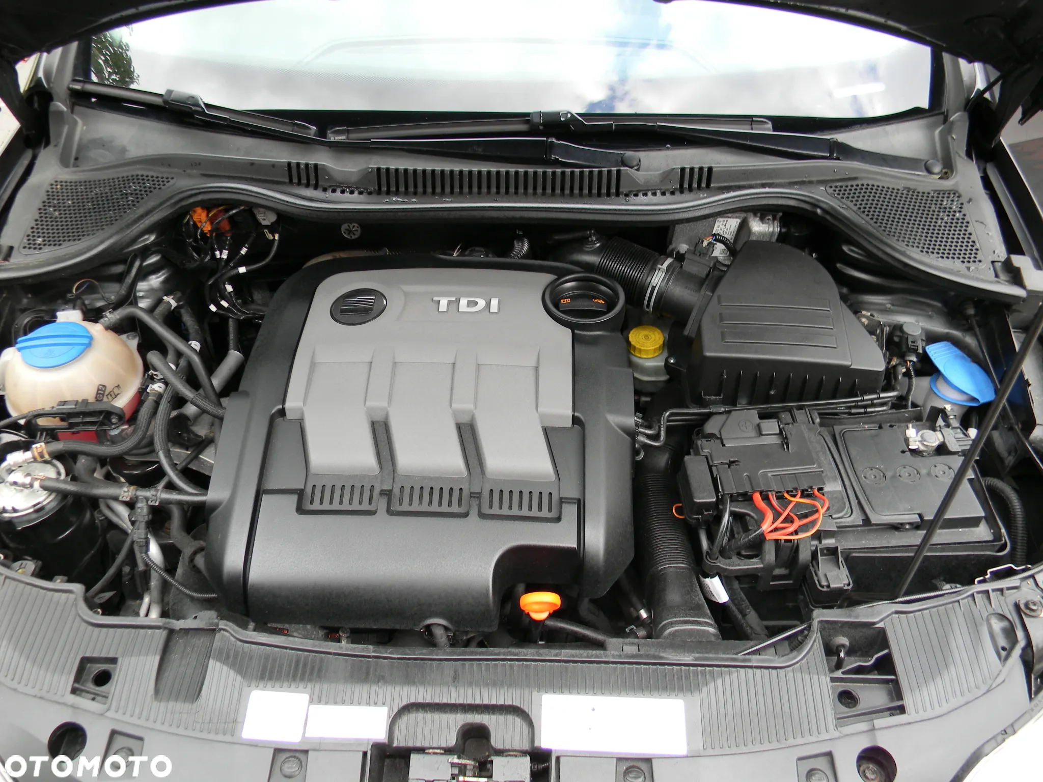 Seat Ibiza 1.2 TDI CR Ecomotive Reference - 18
