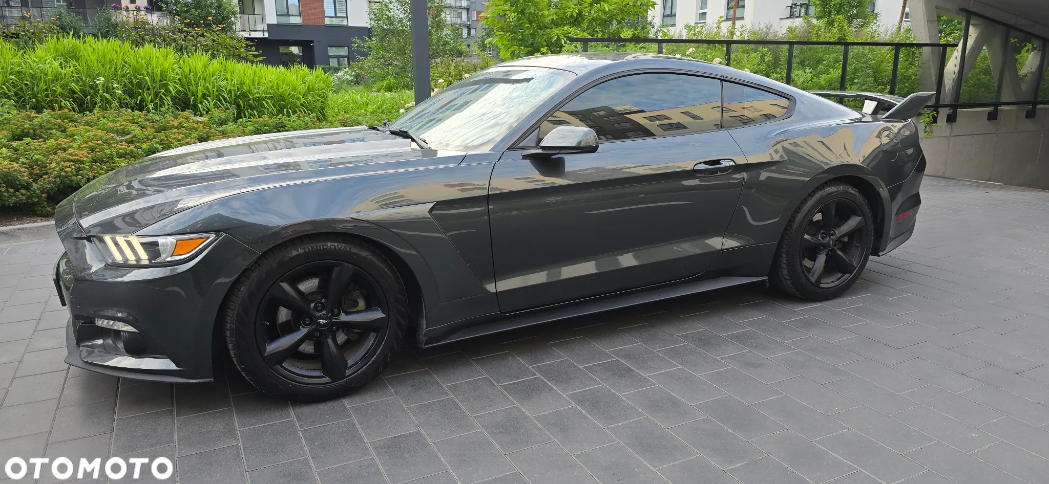 Ford Mustang - 8