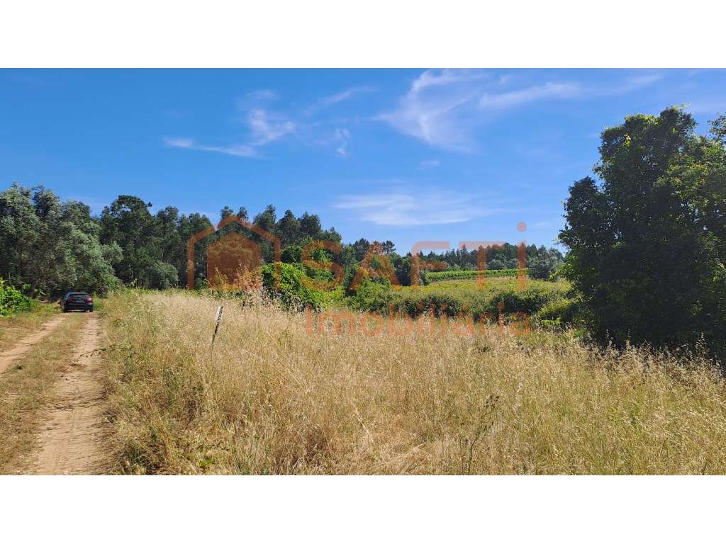 Terreno agrícola com 5870 m2 e forte potencial vitivinícola em São ... - Grande imagem: 2/15