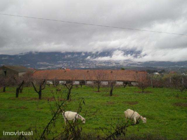Terreno  Venda em Ferro,Covilhã - Grande imagem: 5/6