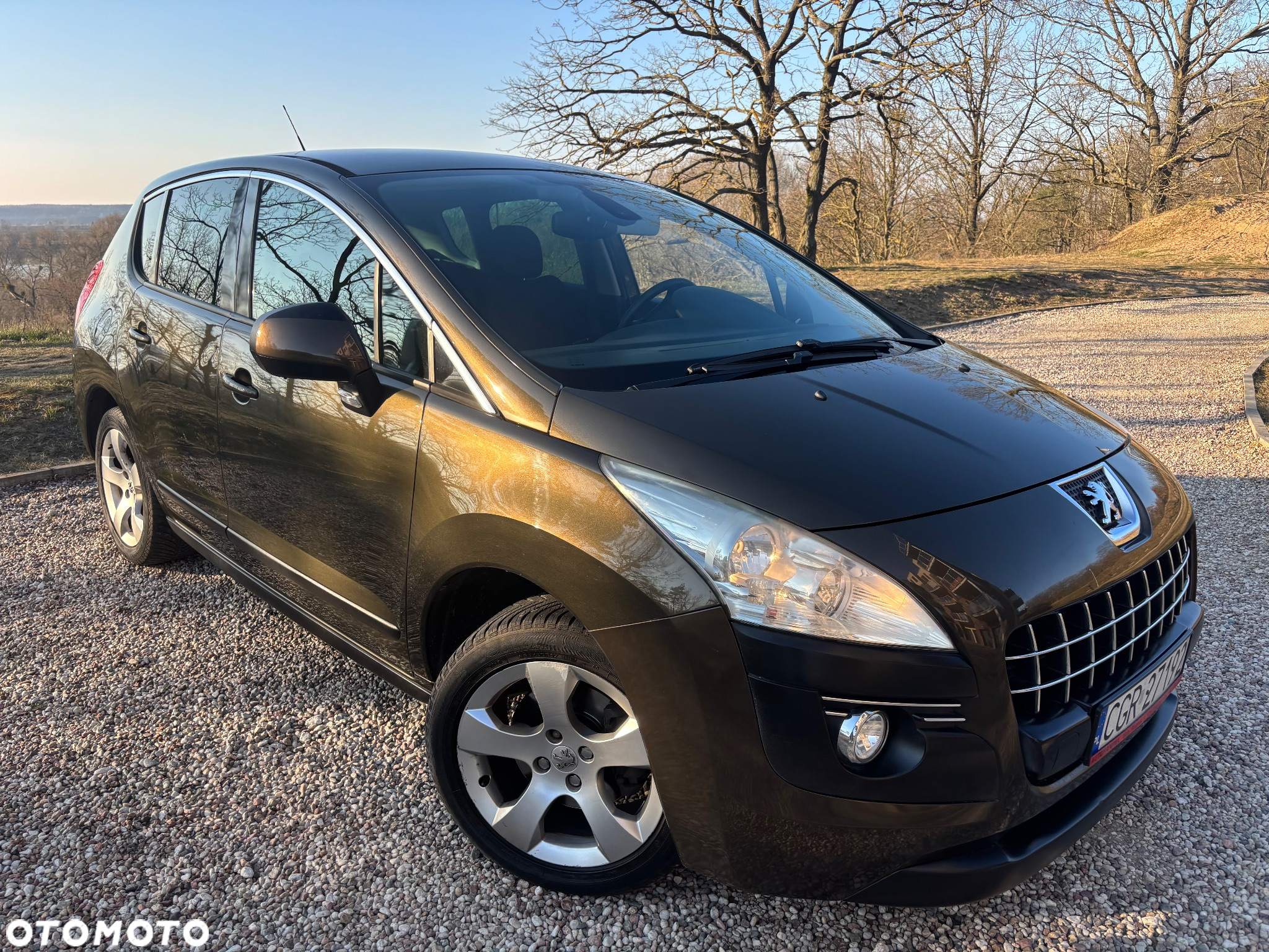 Peugeot 3008 1.6 Premium - 4