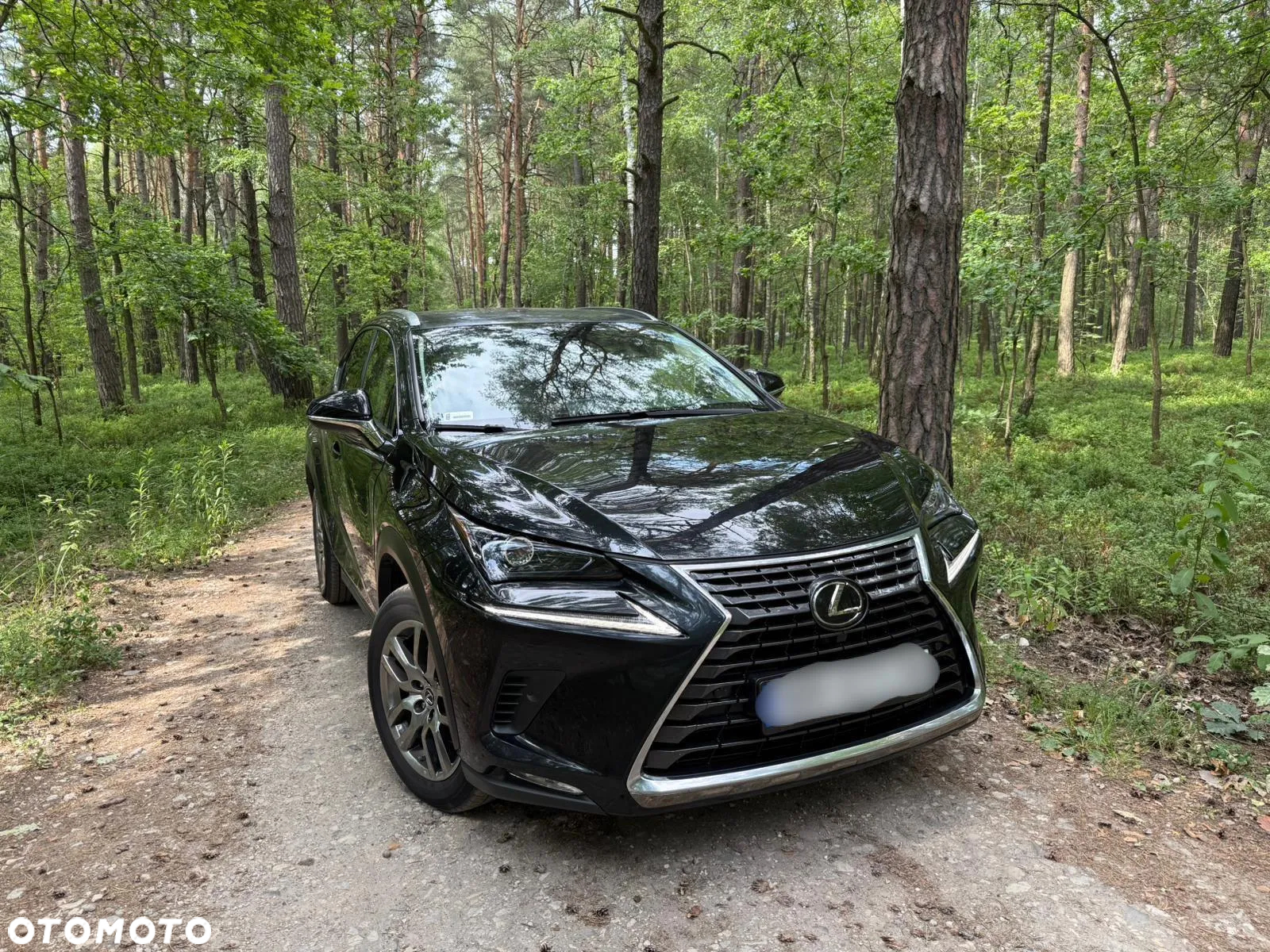 Lexus NX 300 Comfort AWD - 9