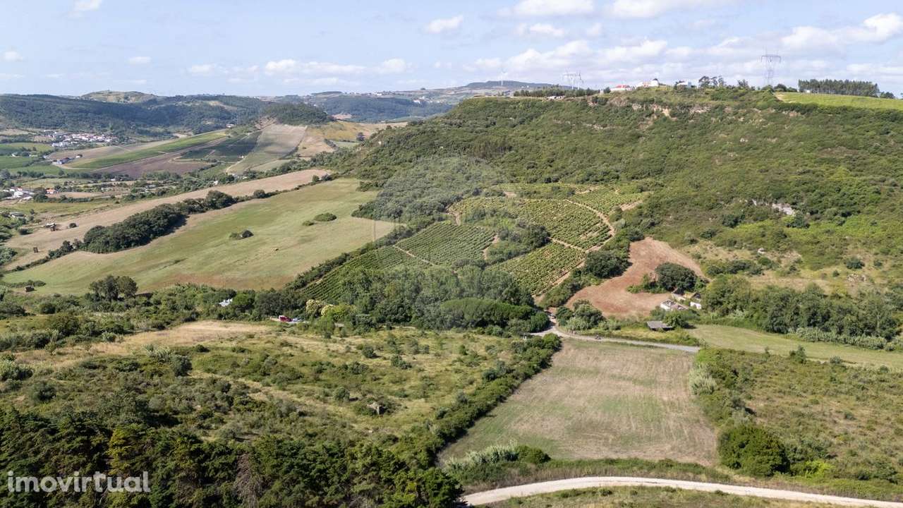 Terreno  para venda - Grande imagem: 4/19