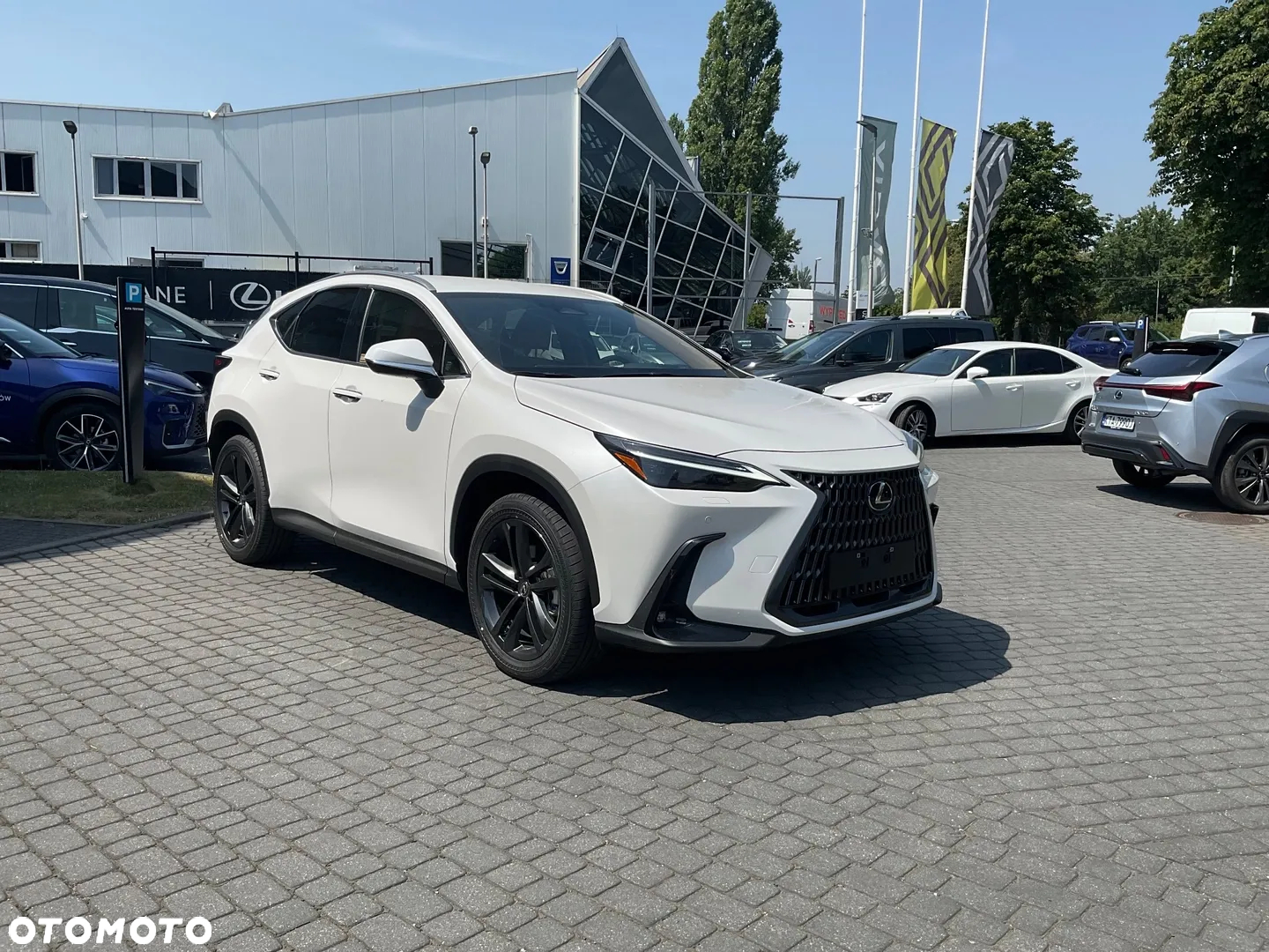Lexus NX 350h Prestige AWD - 2