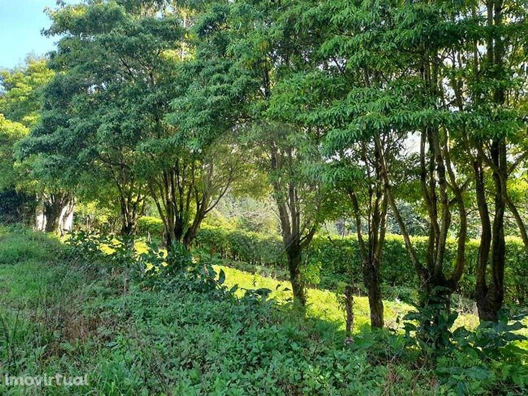 Terreno  para venda - Grande imagem: 4/7